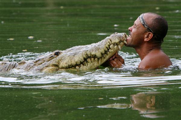 Poncho-the-Crocodile.jpg