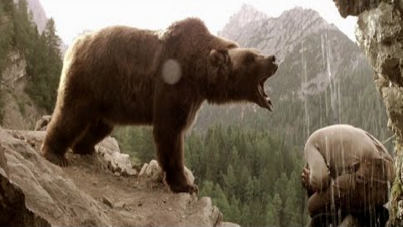 Отрывок из фильма "Медведь". Автор фото: 