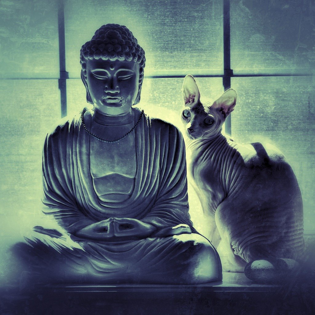 Что на самом деле думают люди о медитации. Автор фото: 