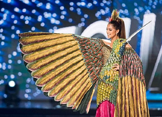20 самых ярких национальных костюмов «Мисс Вселенная-2017»