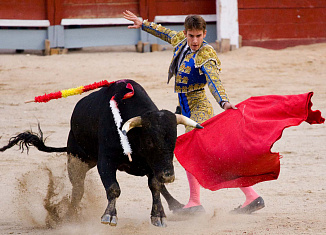 Испанская коррида — завораживающий танец жизни и смерти